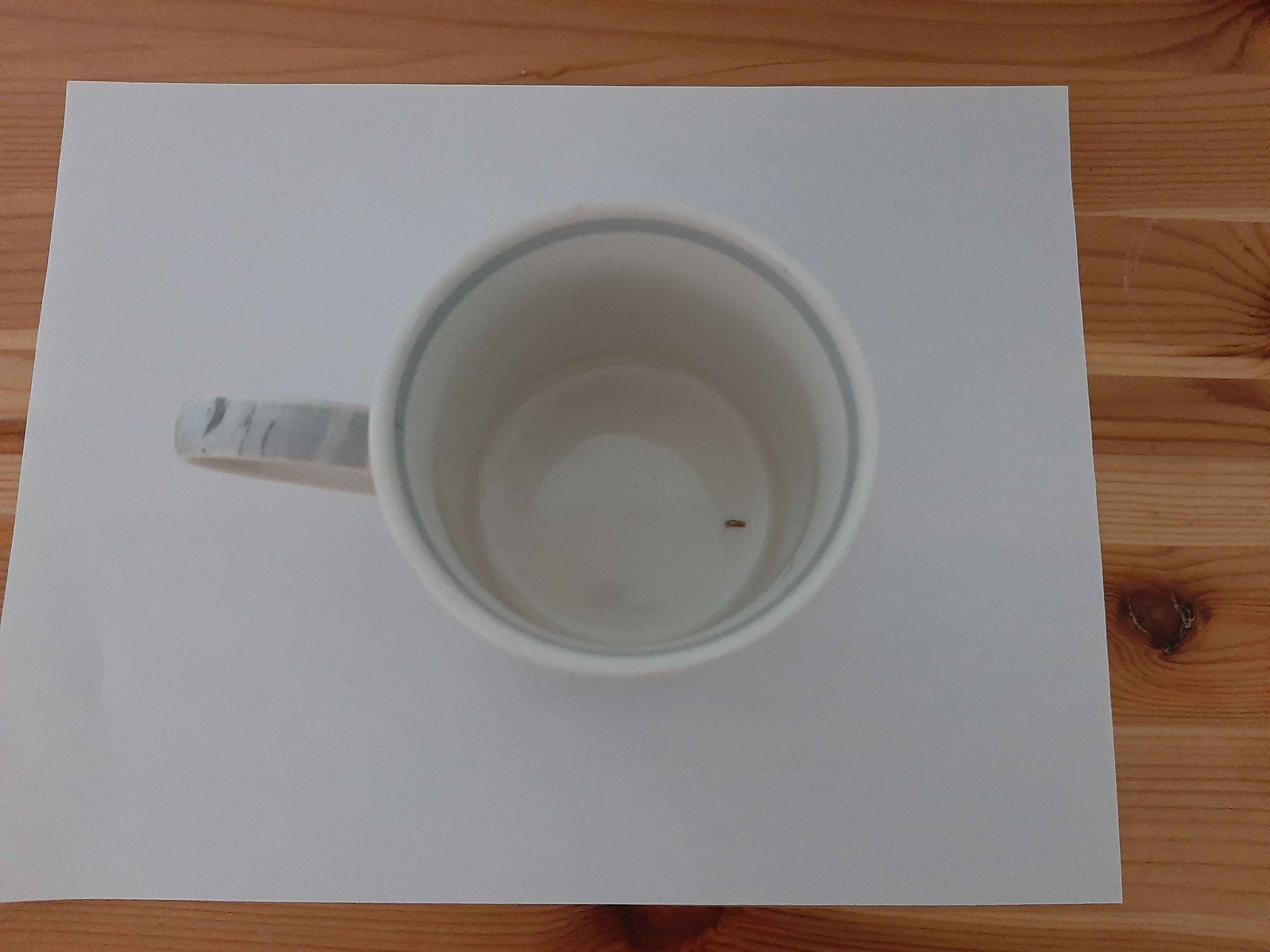 Coffee Mug Top View